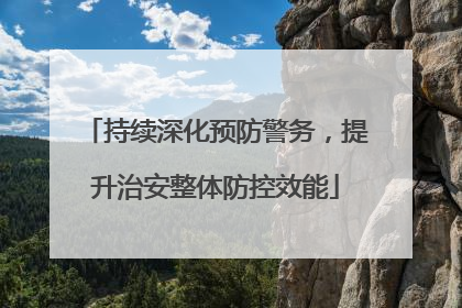 持续深化预防警务，提升治安整体防控效能