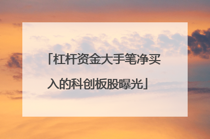 杠杆资金大手笔净买入的科创板股曝光