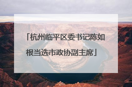 杭州临平区委书记陈如根当选市政协副主席