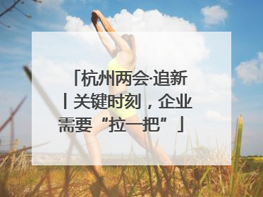 杭州两会·追新丨关键时刻，企业需要“拉一把”