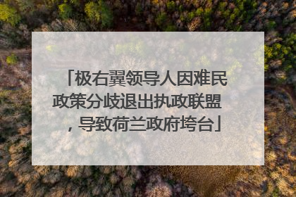 极右翼领导人因难民政策分歧退出执政联盟，导致荷兰政府垮台