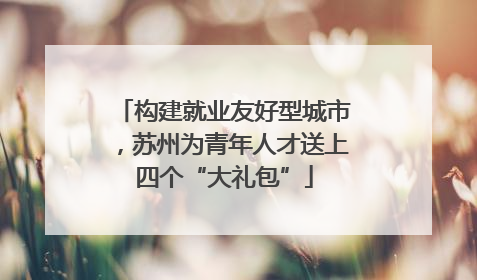 构建就业友好型城市，苏州为青年人才送上四个“大礼包”