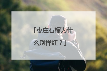枣庄石榴为什么别样红？
