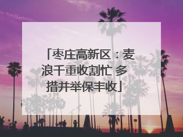 枣庄高新区：麦浪千重收割忙 多措并举保丰收