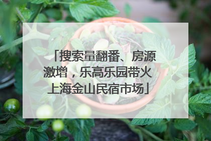 搜索量翻番、房源激增，乐高乐园带火上海金山民宿市场