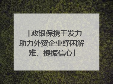 政银保携手发力 助力外贸企业纾困解难、提振信心