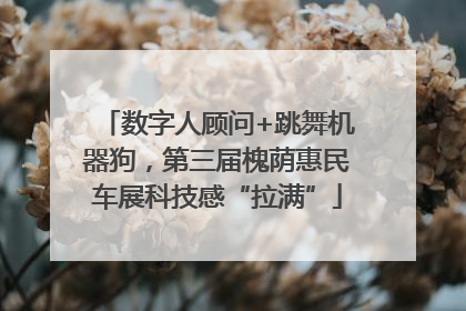 数字人顾问+跳舞机器狗，第三届槐荫惠民车展科技感“拉满”
