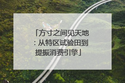 方寸之间见天地：从特区试验田到提振消费引擎