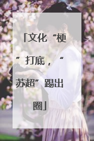 文化“梗”打底，“苏超”踢出圈