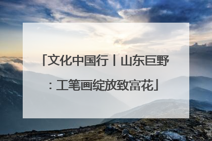 文化中国行丨山东巨野：工笔画绽放致富花