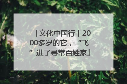 文化中国行丨2000多岁的它，“飞”进了寻常百姓家