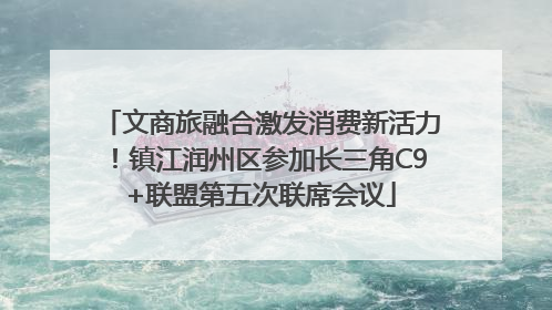 文商旅融合激发消费新活力！镇江润州区参加长三角C9+联盟第五次联席会议