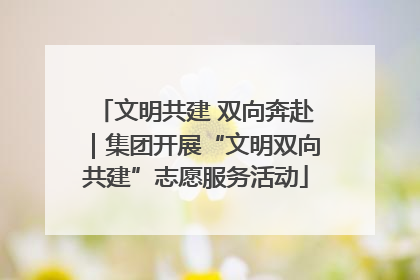 文明共建 双向奔赴｜集团开展“文明双向共建”志愿服务活动