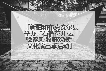 新疆和布克赛尔县举办“石榴花开·云骥逐风·牧野欢歌”文化演出季活动