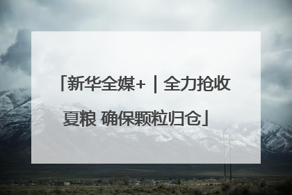 新华全媒+｜全力抢收夏粮 确保颗粒归仓