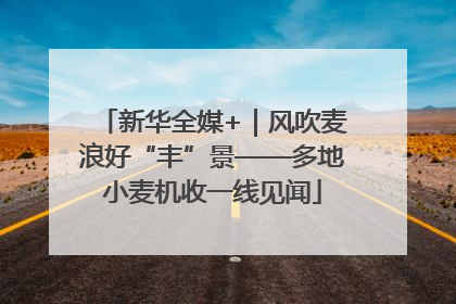 新华全媒+｜风吹麦浪好“丰”景——多地小麦机收一线见闻