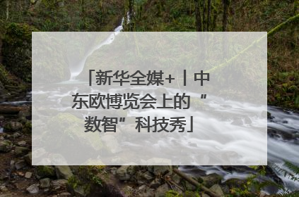 新华全媒+丨中东欧博览会上的“数智”科技秀