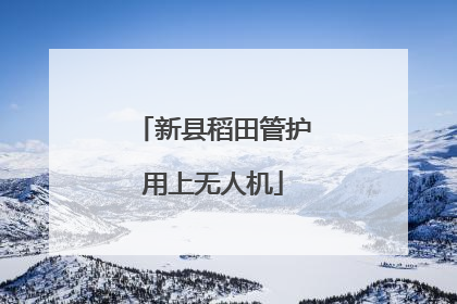 新县稻田管护用上无人机