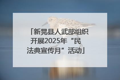 新晃县人武部组织开展2025年“民法典宣传月”活动
