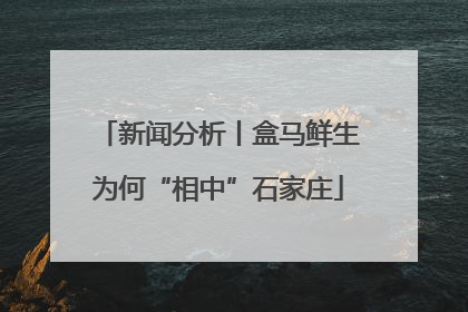 新闻分析丨盒马鲜生为何“相中”石家庄