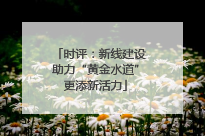 时评：新线建设助力“黄金水道”更添新活力