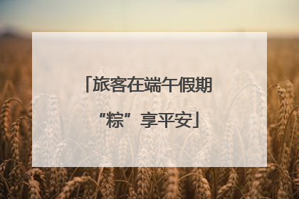 旅客在端午假期“粽”享平安