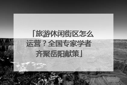 旅游休闲街区怎么运营？全国专家学者齐聚岳阳献策