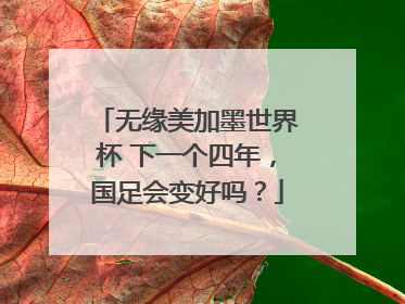 无缘美加墨世界杯 下一个四年，国足会变好吗？