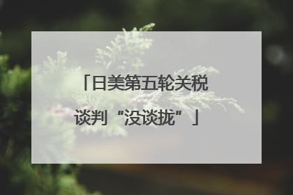 日美第五轮关税谈判“没谈拢”