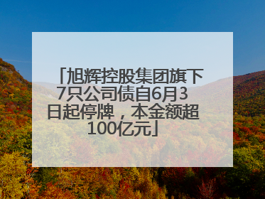 旭辉控股集团旗下7只公司债自6月3日起停牌，本金额超100亿元