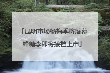 昆明市场杨梅季将落幕 蜂糖李即将接档上市