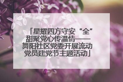 星耀四方守安“全” 甜聚党心传温情——舞阳社区党委开展流动党员建党节主题活动