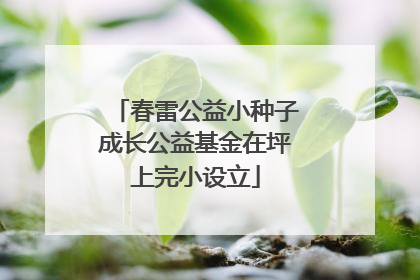 春雷公益小种子成长公益基金在坪上完小设立
