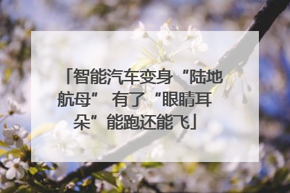 智能汽车变身“陆地航母” 有了“眼睛耳朵”能跑还能飞