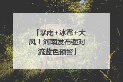 暴雨+冰雹+大风！河南发布强对流蓝色预警