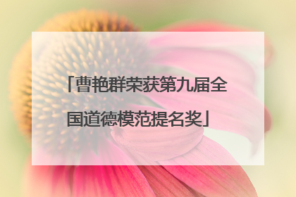 曹艳群荣获第九届全国道德模范提名奖