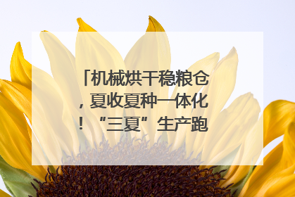机械烘干稳粮仓，夏收夏种一体化！“三夏”生产跑出加速度｜麦报