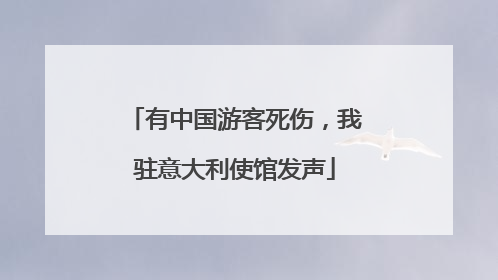 有中国游客死伤，我驻意大利使馆发声