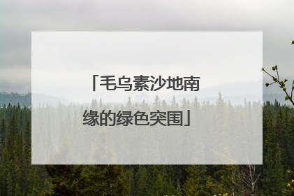 毛乌素沙地南缘的绿色突围
