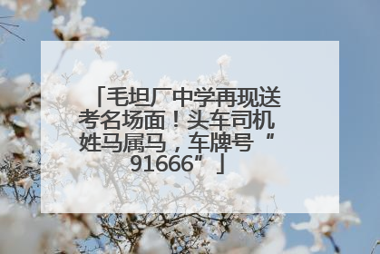 毛坦厂中学再现送考名场面！头车司机姓马属马，车牌号“91666”