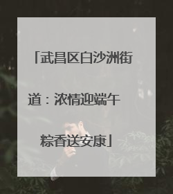 武昌区白沙洲街道：浓情迎端午 粽香送安康