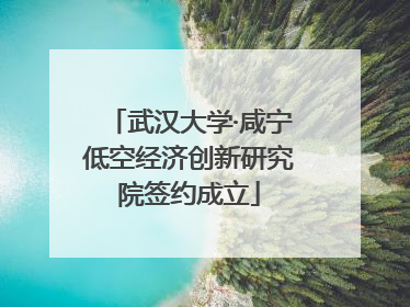 武汉大学·咸宁低空经济创新研究院签约成立
