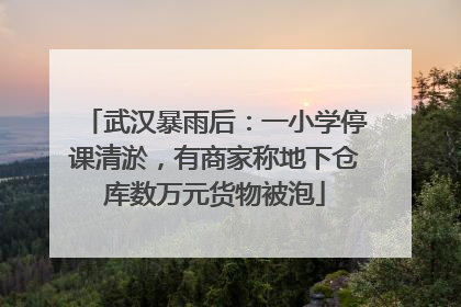 武汉暴雨后：一小学停课清淤，有商家称地下仓库数万元货物被泡