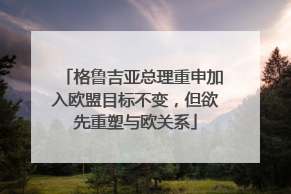 格鲁吉亚总理重申加入欧盟目标不变，但欲先重塑与欧关系