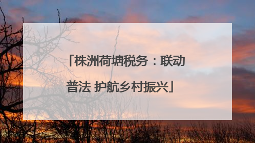 株洲荷塘税务：联动普法 护航乡村振兴