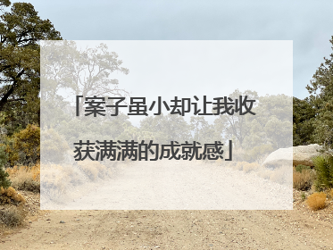 案子虽小却让我收获满满的成就感