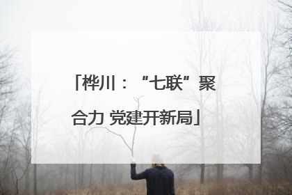 桦川：“七联”聚合力 党建开新局