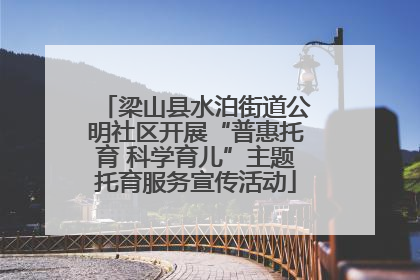 梁山县水泊街道公明社区开展“普惠托育 科学育儿”主题托育服务宣传活动