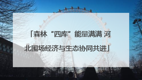 森林“四库”能量满满 河北围场经济与生态协同共进
