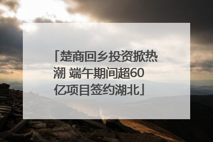 楚商回乡投资掀热潮 端午期间超60亿项目签约湖北